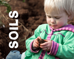Read more - Soil Association