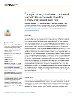 The impact of early visual cortex transcranial magnetic