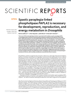 Spastic paraplegia-linked phospholipase PAPLA1 is necessary for
