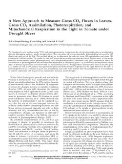 A New Approach to Measure Gross CO2 Fluxes