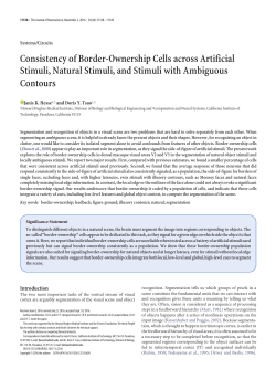 Consistency of Border-Ownership Cells across Artificial Stimuli