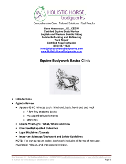 Equine Bodywork Basics Clinic
