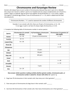 Chromosome and Karyotype Review