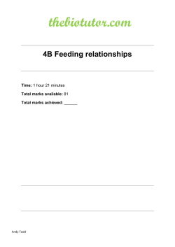 File - thebiotutor.com