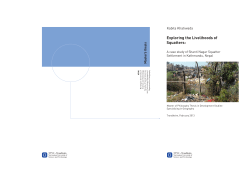 Institutional initiative to foster the livelihoods of the squatters