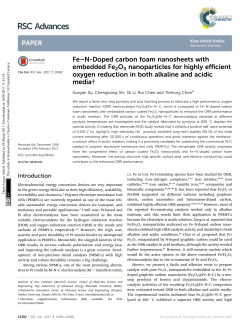 Fe&ndash;N-Doped carbon foam nanosheets with embedded Fe2O3