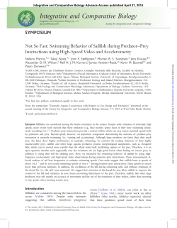 Marras, S., Noda, T., Steffensen, J. F., Svendsen, M. B. S., Krause, J