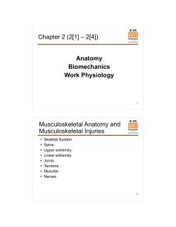 anatomy, biomechanics, work physiology