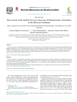 New record of the starfish Narcissia ahearnae