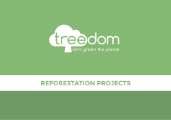 reforestation projects