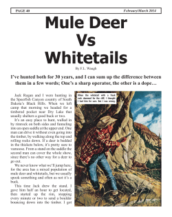 Mule Deer Vs Whitetails