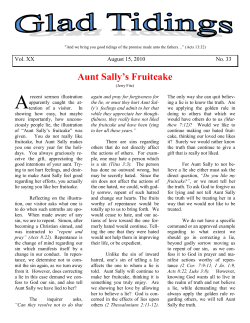 2010-08-15 Aunt Sally`s Fruitcake