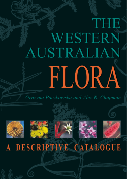 a descriptive catalogue a descriptive catalogue