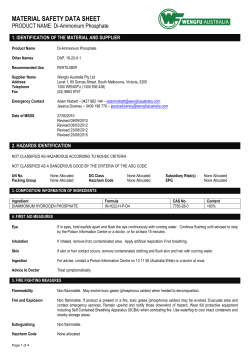 SDS - Wengfu Di-Ammonium Phosphate