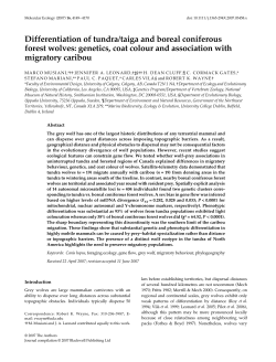 Differentiation of tundra/taiga and boreal coniferous forest wolves