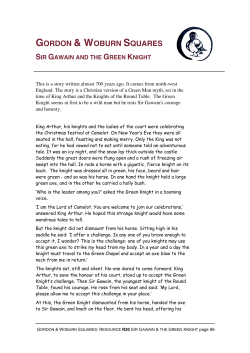 R20 Sir Gawain and the Green Knight Story