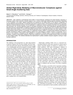 Global rigid body modeling of macromolecular