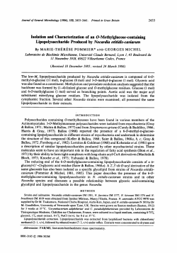 Isolation and Characterization of an 0-Methylglucose