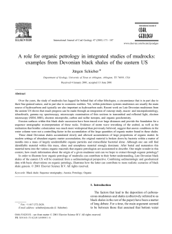 A role for organic petrology in integrated studies of mudrocks