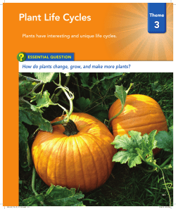 Plant Life Cycles - Mondo Publishing