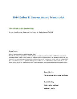 The Chief Audit Executive: Understanding the Role and Professional