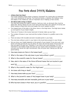 Fun Facts about YOUR Skeleton