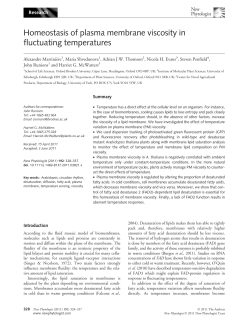 Homeostasis of plasma membrane viscosity in fluctuating