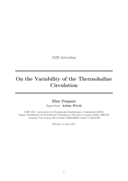 On the Variability of the Thermohaline Circulation