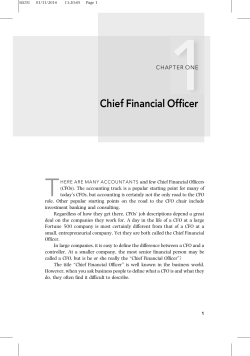 Chapter 1: Chief Financial Officer