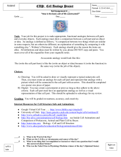 CAP: Cell Analogy Project