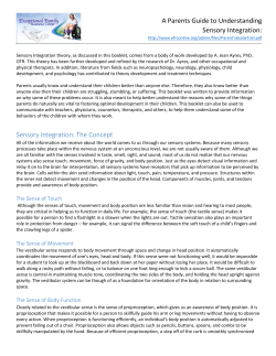 A Parents Guide to Understanding Sensory Integration