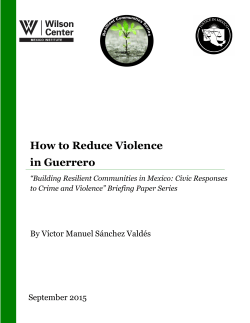 How to Reduce Violence in Guerrero