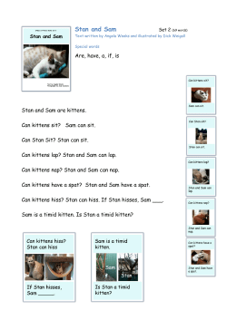 Stan and Sam - Speld-sa