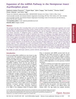 Expansion of the miRNA Pathway in the Hemipteran Insect