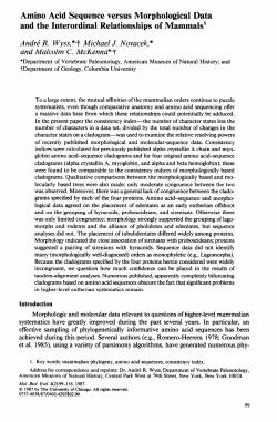 Amino Acid Sequence versus Morphological Data