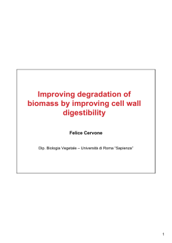 Improving degradation of biomass by improving cell wall digestibility