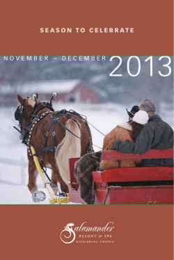 View Holiday Guide - Salamander Resort and Spa