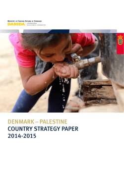 denmark &ndash; palestine country strategy paper