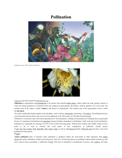 Pollination
