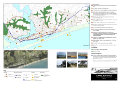 Urban Design Analysis