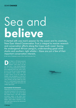 It started with one man`s passion for the ocean and its creatures