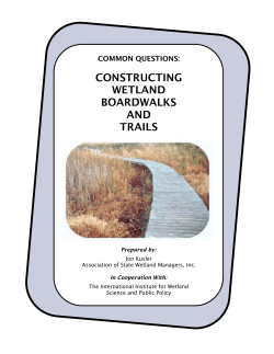 Common Questions: Constructing Wetland Boardwalks and Trails