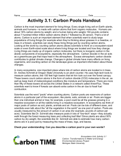 Activity 3.1: Carbon Pools Handout
