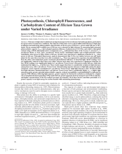 Photosynthesis, chlorophyll fluorescence, and carbohydrate content