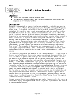 LAB 03 - Animal Behavior