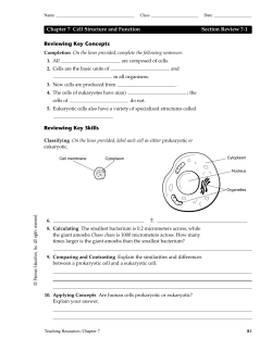 Reviewing Key Concepts Reviewing Key Skills Chapter 7 Cell