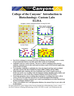 elisa - College of the Canyons