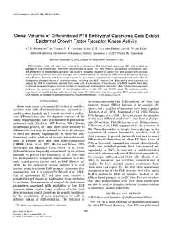Clonal Variants of Differentiated PI 9 Embryonal Carcinoma Cells