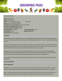 PEA VITAL STATISTICS Family: Leguminosae Species: Pisum