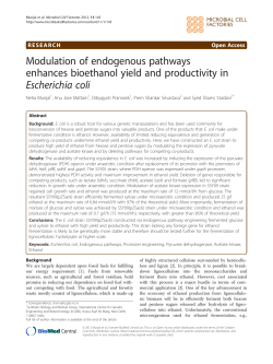 Modulation of endogenous pathways enhances bioethanol yield